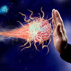 How to Strengthen the Immune System?