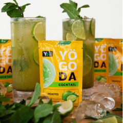 Non-Alcoholic Mojito Cocktail: Always Appropriate During Parties, Picnics or Relaxing at Home