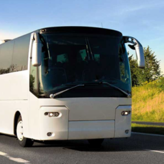 Comfortable bus for international routes: how to choose the right option for yourself?