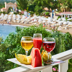 Fruit-based cocktails: easy and delicious recipes