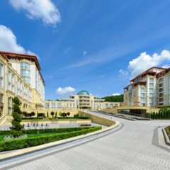 Conference Service: Why Is It Needed and How to Choose It?