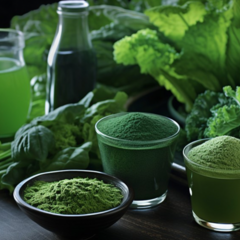 Хлорофіл рідкий від BIOTUS: природна енергія для вашого організму