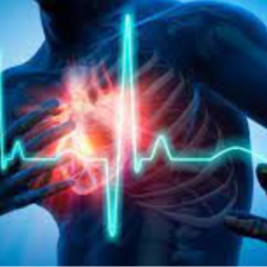 Як підтримати серце при серцево-судинних захворюваннях?