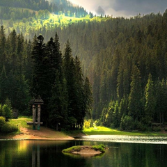 Гурман у Карпатах: що й де скуштувати обов'язково