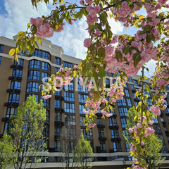 Продаж квартир в с. Софіївська Борщагівка: комфорт, доступність і надійність