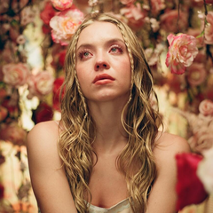 Актори серіалу Ейфорія — головний склад та ролі у відомому шоу