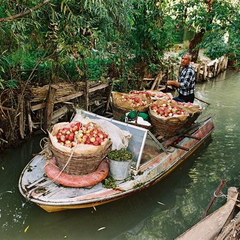 Вилкове – українська Венеція в Одеській області, відпочинок та цікаві факти
