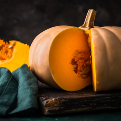 Насіння гарбуза – великий вибір у магазині WestGard