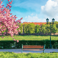 Ужгород — цікаві, визначні, туристичні та гарні