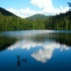 Куди поїхати відпочивати в Україні — літом, взимку, з дітьми та всією родиною