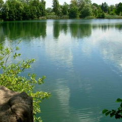 Бушівське озеро — відпочинок та розташування на карті