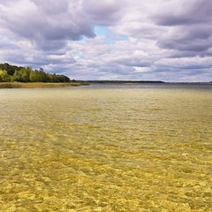 Найглибше озеро України — Світязь: глибина та особливості прісної водойми