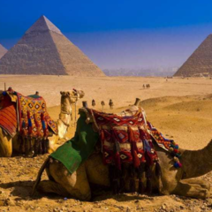 Секрети ідеального відпочинку в Єгипті: все, що потрібно знати про відпочинок в різні сезони 