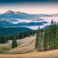 туризм в Закарпатье