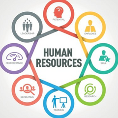 Matrix Management Structure - Features and Examples of Organizational Model