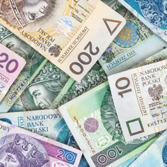 Стоит ли сберегать деньги в злотых