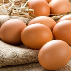 Egg prices will rise