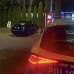 Украинец в Польше за одну поездку насобирал штрафов