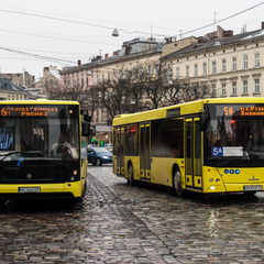 Buses in Lviv