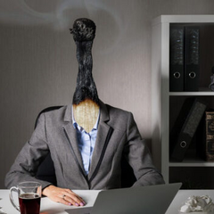 professional burnout