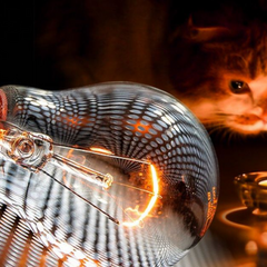 Графіки відключень електроенергії