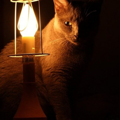 График отключений света в Днепре и области на 27 ноября