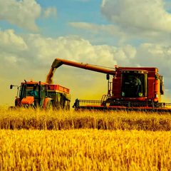 Agricultural Sector of Ukraine