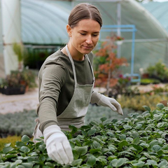 Top 5 Websites for Job Searching in the Netherlands