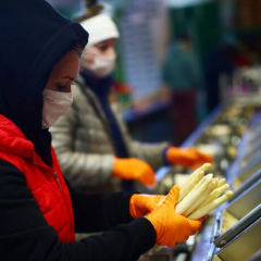 Where do Ukrainians work in Poland