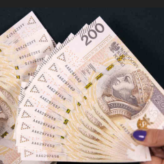 The family budget of Ukrainians in Poland