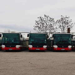Buses for Odesa