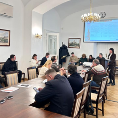 Львовский городской совет
