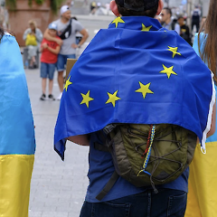Занятость украинцев в ЕС