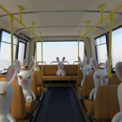 'Fare evaders' in public transport