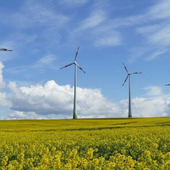 wind farm