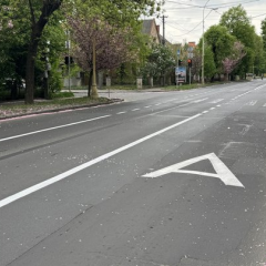 Виділені смуги в Ужгороді