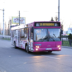 Автобусы Кременчука