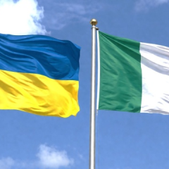 Ирландия готовит программу выплат для возвращения украинцев