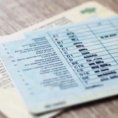Driver's license