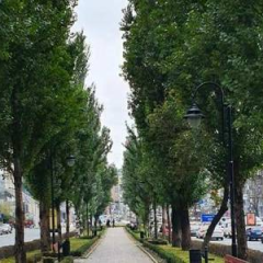 У Києві перекриють одну з головних доріг