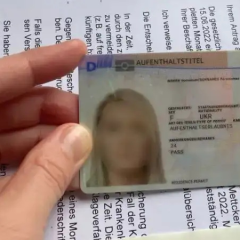 Реформа §24 у Німеччині