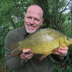 В Украине исчезает популярная рыба