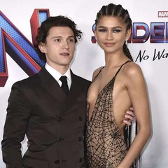 Голланд отримав струс мозку