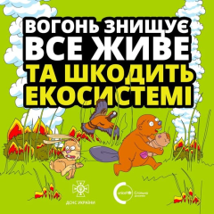 Випалювання трави на українських полях