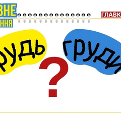 Груди - единственное число: разбор по словарю