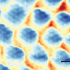 Movement of electrons in Wigner crystal