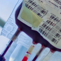 Науковці працюють над виробництвом штучної крові