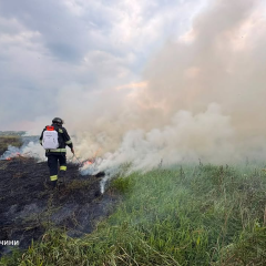 Пожежники гасять палаючий сухостій