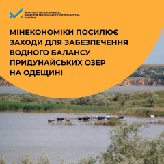 Действия Минэкономики по спасению придунаинских озер