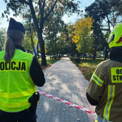 Посилення безпеки в польських школах